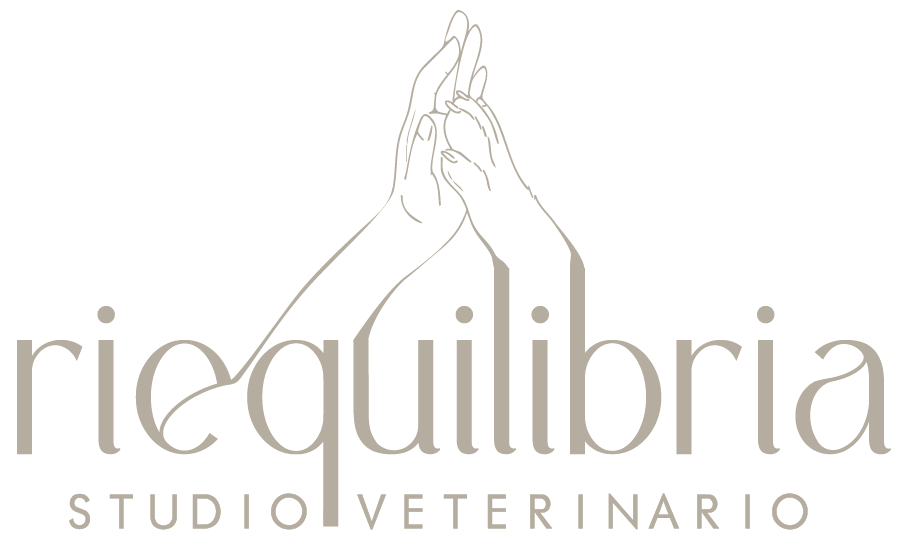 Riequilibria